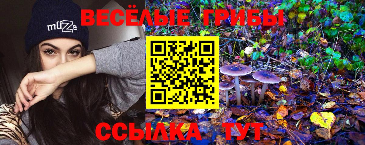 Псилоцибиновые грибы мицелий Реж