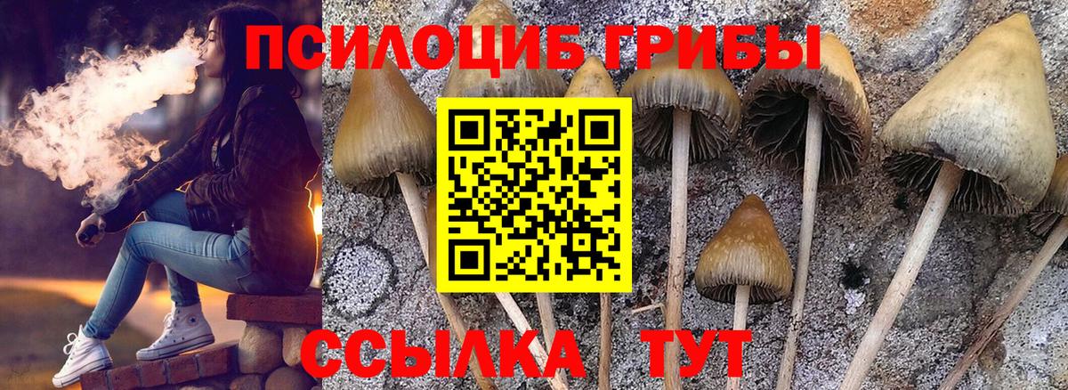 Галлюциногенные грибы Magic Shrooms  Вход с VPN  Реж 